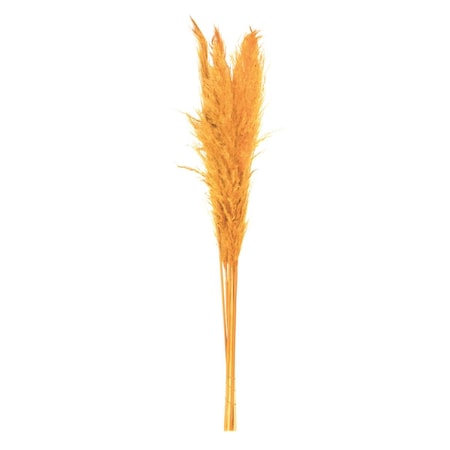 Dare2Decor 46 in. Pampas Grass, Aspen Gold, 6PK DA3269739